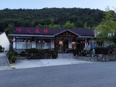 -呼吸森林·生态农庄农家乐私房菜