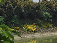 -千龙湖生态旅游度假区