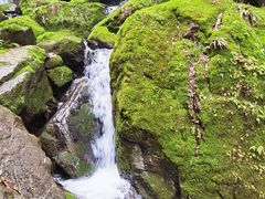 -藏龙百瀑风景区