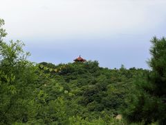 -白水寺森林公园