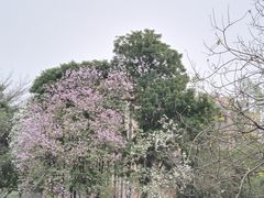 -怡海公园(桂城街道)