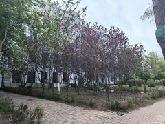 -黑龙江中医药大学