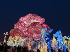 -淄博花灯齐彩城