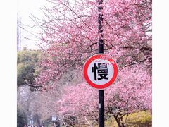 -杭州植物园