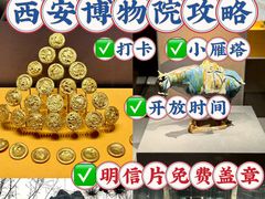 -西安博物院