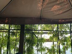 -成都观隐颐云台酒店-芳菲秀
