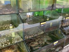 -四海鲜渔家菜(黄金海岸店)
