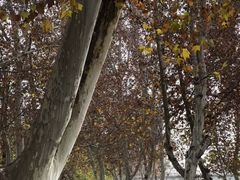 -汉长安城未央宫国家考古遗址公园