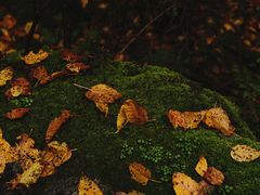 -青峰峡国家森林公园