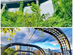 -金鸡山公园