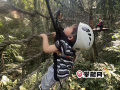 -西双版纳原始森林公园
