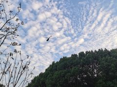 -上海月湖雕塑公园