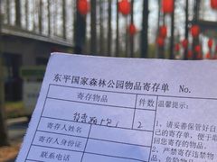 -东平国家森林公园