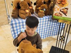 -廊坊固安福朋喜来登酒店