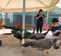 -萌宠亲子动物乐园(槐房万达店)