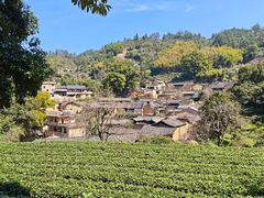 -杨家堂村