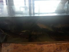 -吾味小厨(沈阳梅江店)