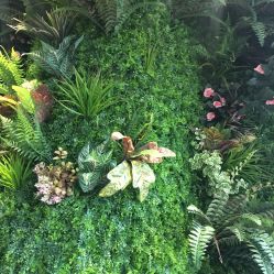 -V-STAR威斯达•高级私人定制