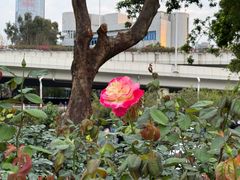 -人民公园(罗湖区)