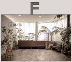 -大树儿童摄影