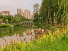 -四海公园(南山区)