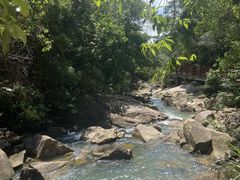 -广州白江湖森林公园