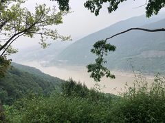 -铁山坪森林公园