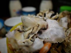 -渡海小渔村.老辈日照菜