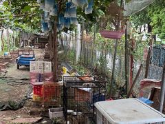 -马陆小张葡萄园农家乐