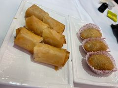 脆皮炸春卷-广州酒家(文昌总店)