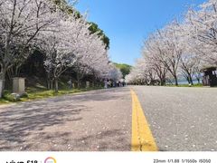 -团城山公园