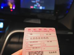 -枫花园汽车电影院(朝阳公园店)