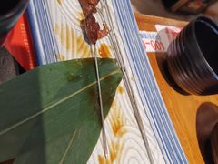 -三月居酒屋(青年大街店)