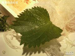 苏子叶-将太无二·北美传奇寿司(瑞士公寓店)
