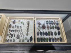 -酷嗒动物文化乐园(cutezoo西溪乐天城店)