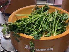 -龍歌自助小火锅(李沧丽达店)