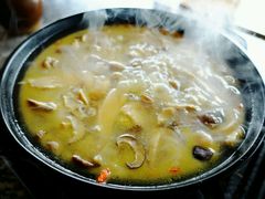 -蘑统田下·野生菌火锅