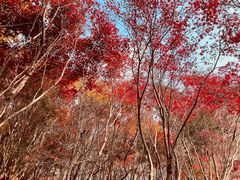 -崂山巨峰游览区
