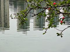 -重庆彩云湖湿地公园