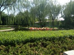 -石家庄市动物园