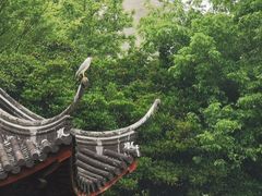 -汇龙潭