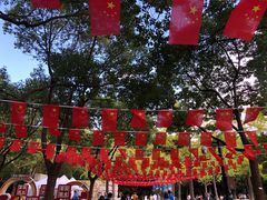 -上海吴淞炮台湾国家湿地公园
