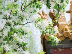 -郑州中国绿化博览园