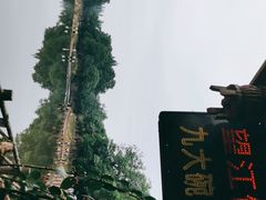 -望江饭店(13年精品店)