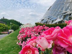 -上海辰山植物园