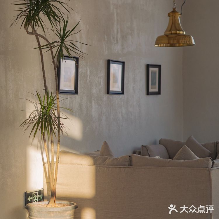 可可托海最靓新店🔥说是在上海武康路不为过吧