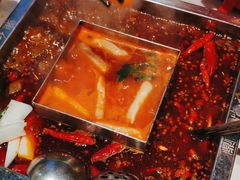 -红鼎坊·老成都火锅(新南门店)