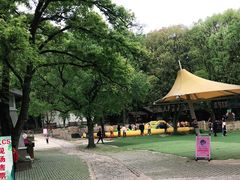 -WeLope紫金山探险公园
