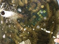 -天宝海鲜酒楼(开发区珠江道店)