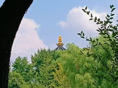 -枫桥景区
